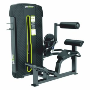 MT 13 BACK EXTENSON