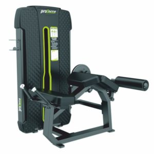 MT 15 PRONE LEG CURL